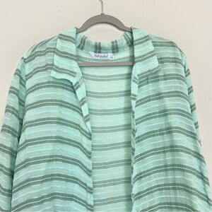 Sheer Striped Button Down